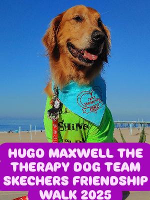 Picture of Hugo at the 2022 Skechers Piers2Piers Walk.